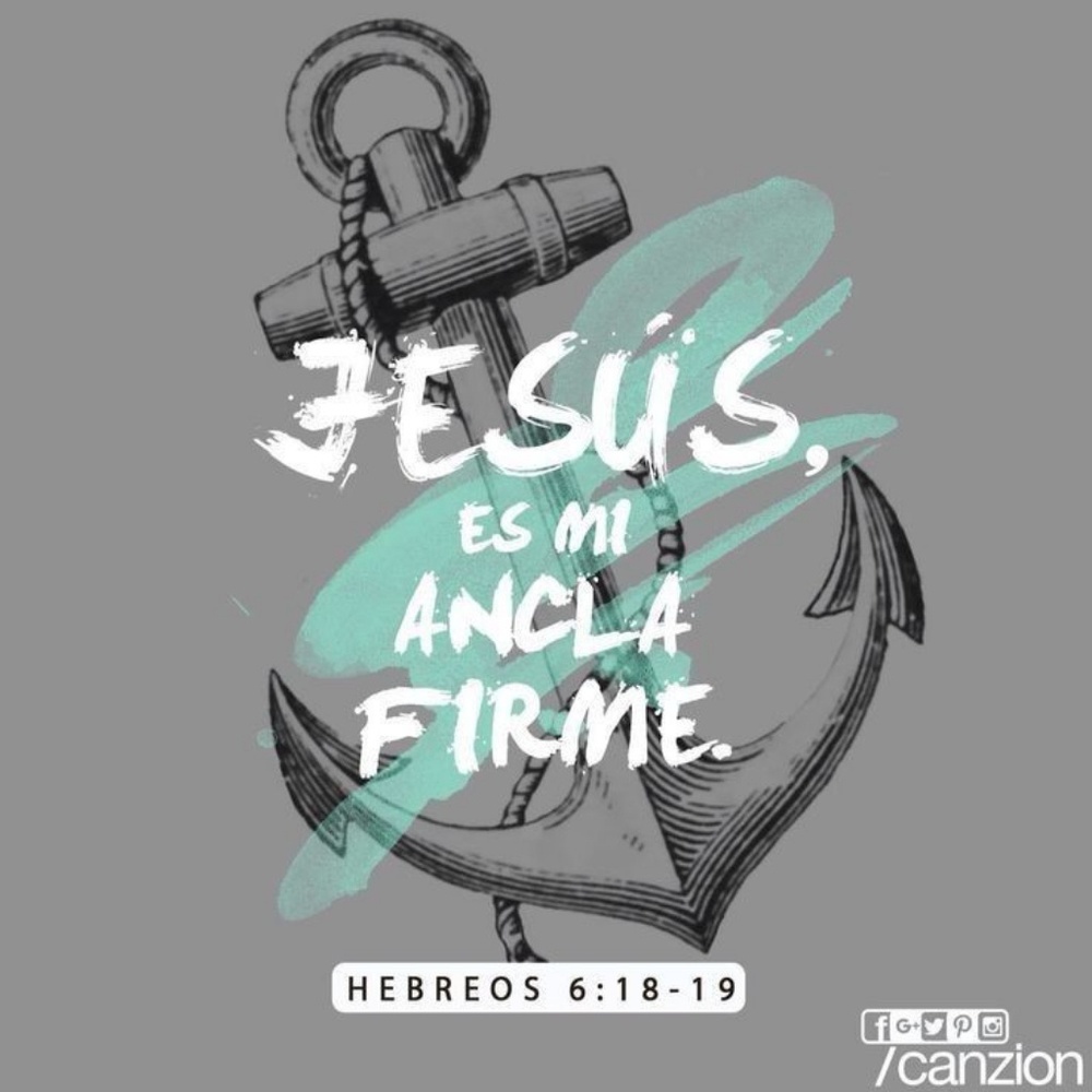 Meet your Posher, Naomilee